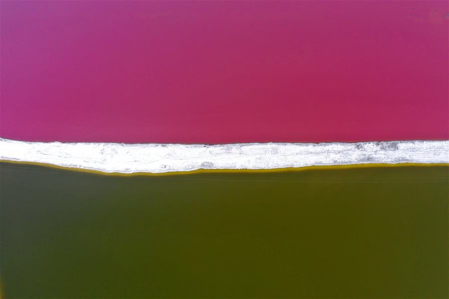 الصورة: بحيرات ملحية ملونة 