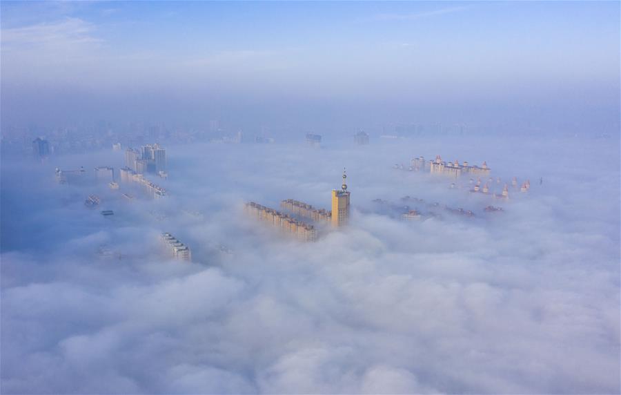  الصورة: الضباب يكسو مدينة شمالي الصين