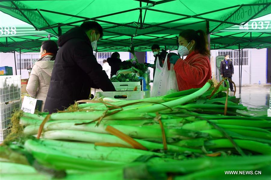 الصورة : ضمان عرض الخضراوات للمواطنين المحتاجين في وسط الصين 