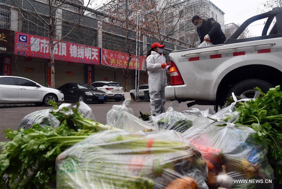 الصورة : ضمان عرض الخضراوات للمواطنين المحتاجين في وسط الصين
