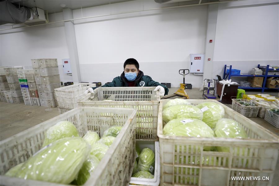 الصورة: ضمان امدادات الخضراوات خلال مكافحة وباء فيروس كورونا الجديد 