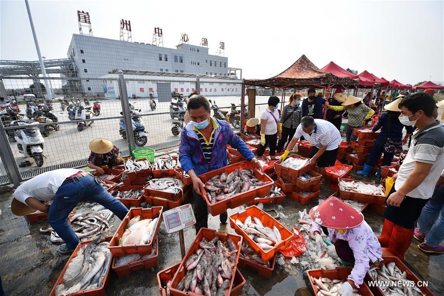 الصورة: استئناف أعمال صيد الأسماك جنوبي الصين