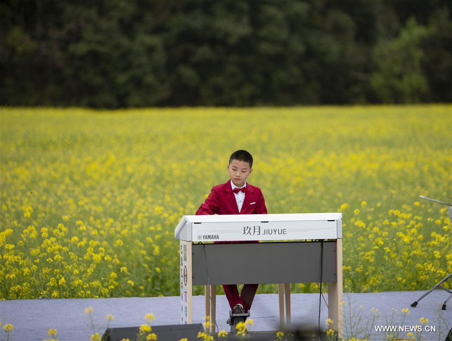 الصورة: مهرجان موسيقي وسط حقول زهور السلجم في شرقي الصين