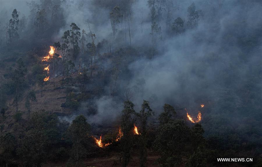 الصورة: حرائق غابات جنوب غربي الصين