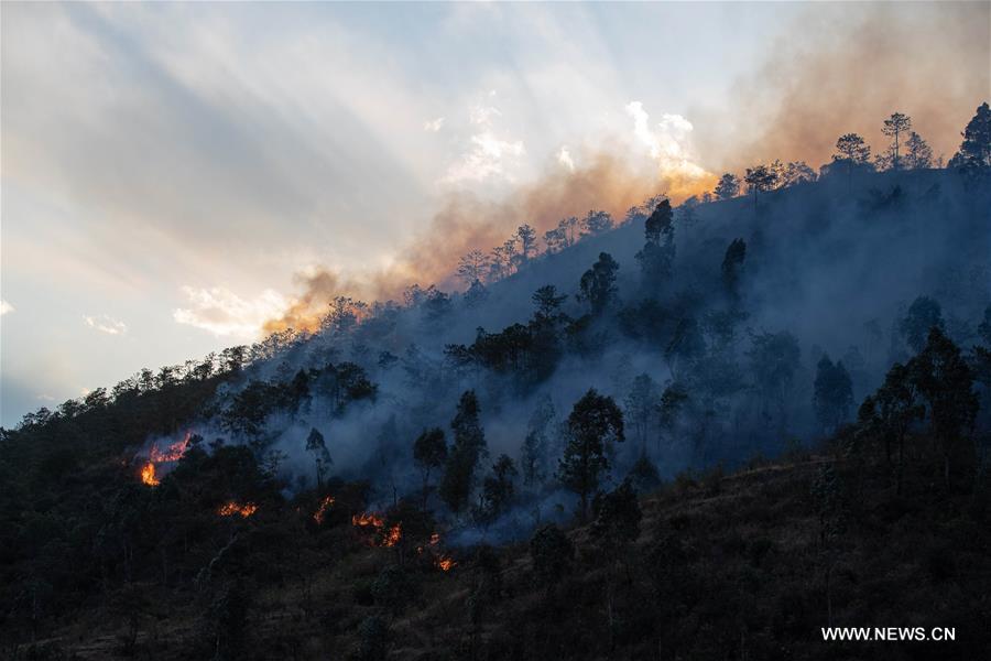 الصورة: حرائق غابات جنوب غربي الصين