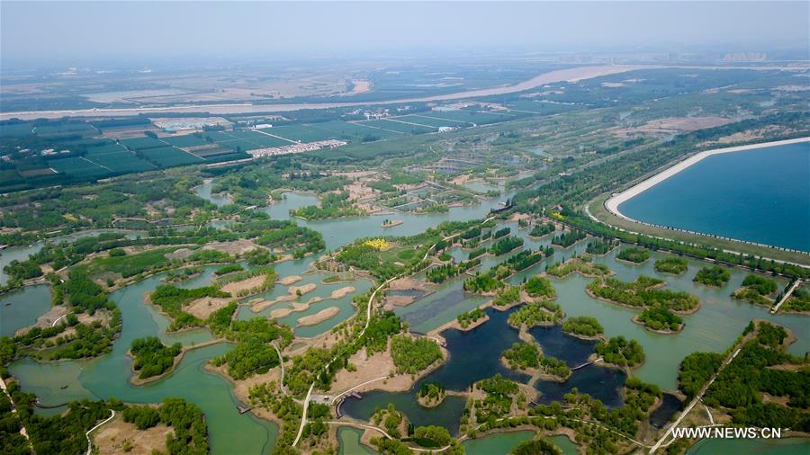 الصورة: مناظر خلابة في حديقة جيشي الوطنية للأراضي الرطبة شرقي الصين