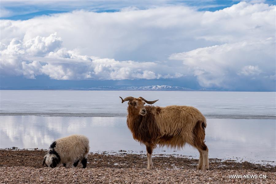 الصورة: ذوبان سطح بحيرة سيرينكو في منطقة التبت