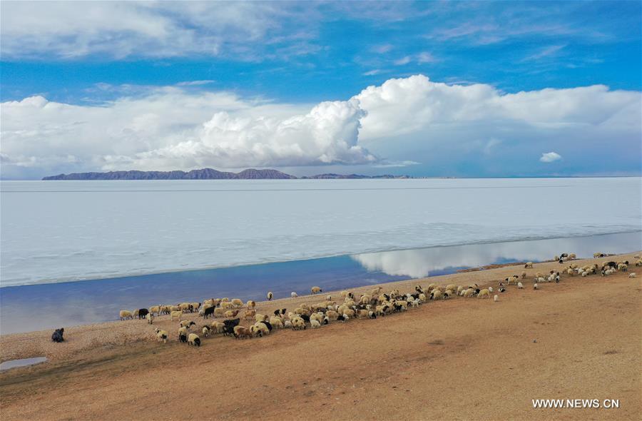 الصورة: ذوبان سطح بحيرة سيرينكو في منطقة التبت