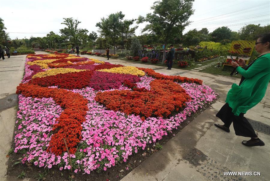 الصورة: افتتاح معرض الزهور في شانغهاي