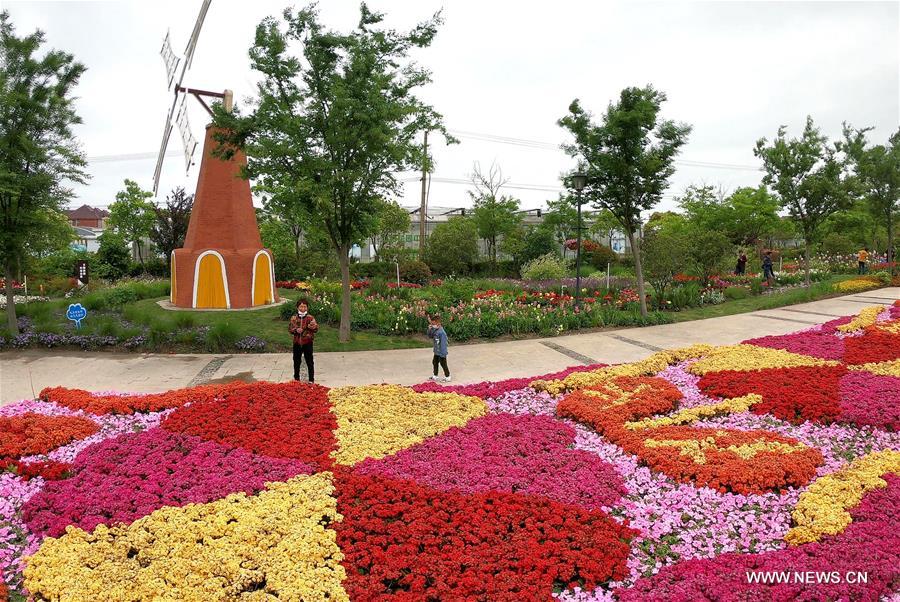 الصورة: افتتاح معرض الزهور في شانغهاي