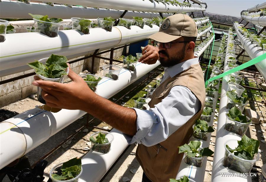 SYRIA-DAMASCUS-AGRICULTURE-PROJECT