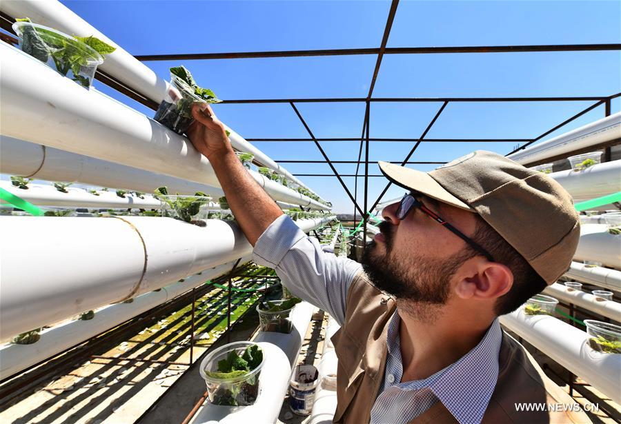 SYRIA-DAMASCUS-AGRICULTURE-PROJECT