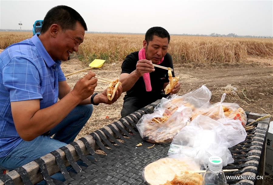 الصورة: فلاح متخصص بأعمال حصاد القمح في وسط الصين