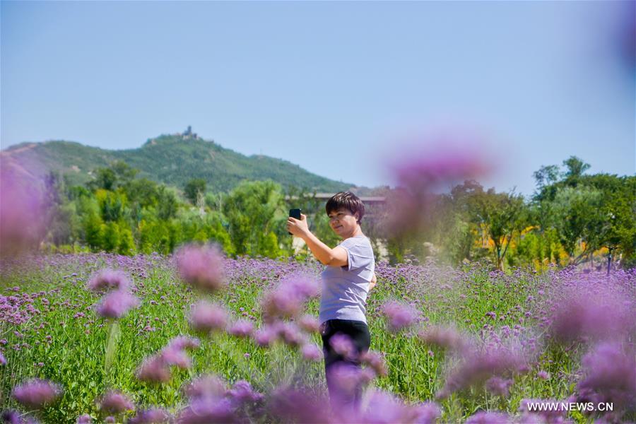 CHINA-HEBEI-HANDAN-SCENERY (CN)