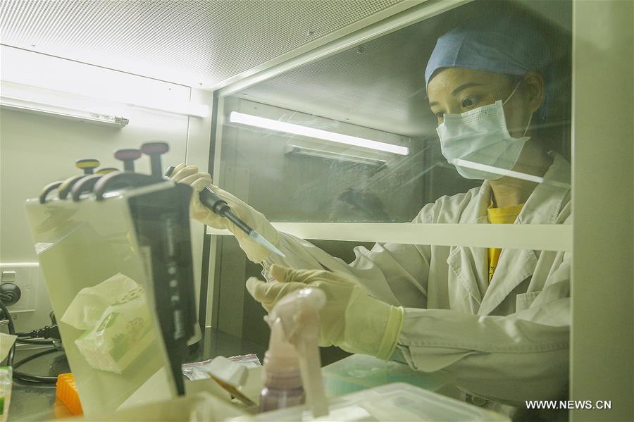 الصورة: مختبر تفاعل البوليميراز المتسلسل لكوفيد-19 في بكين
