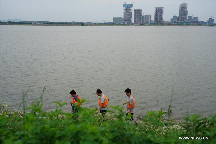 الصورة: إجراءات السيطرة على الفيضانات  شرقي الصين