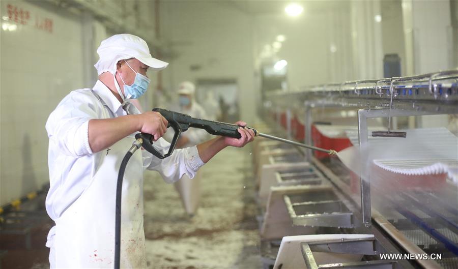 الصورة: بكين تعزز عمليات التطهير لسلسلة توريد اللحوم