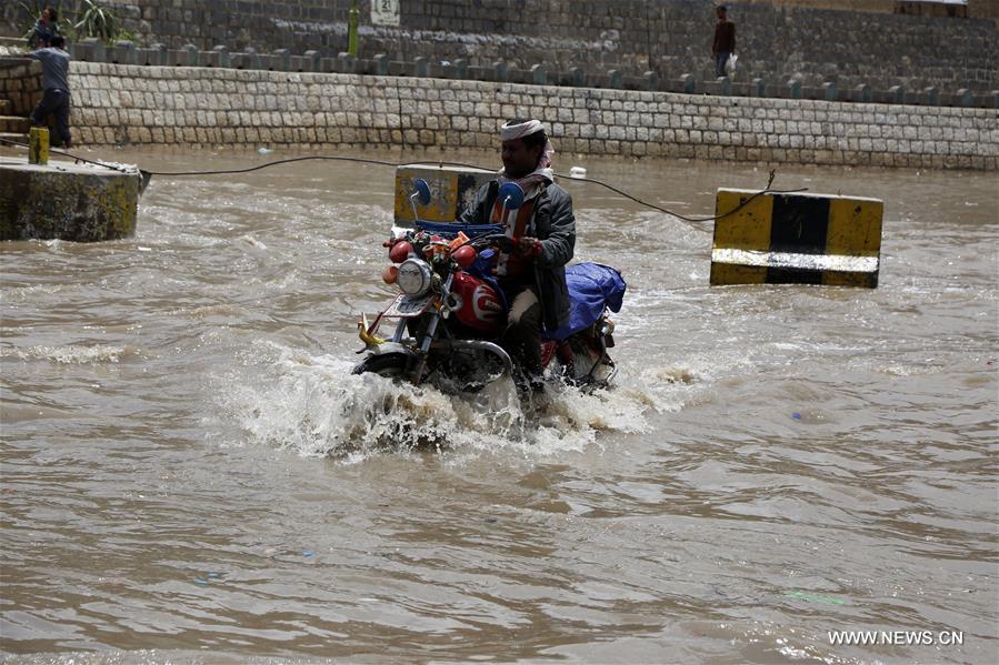 الصورة : أمطار غزيرة في اليمن 
