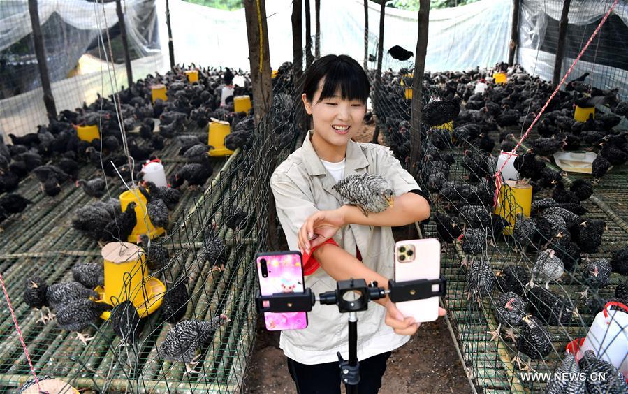 الصورة: استخدام الانترنت لتسويق المنتجات الزراعية خارج الجبال في شمال غربي الصين