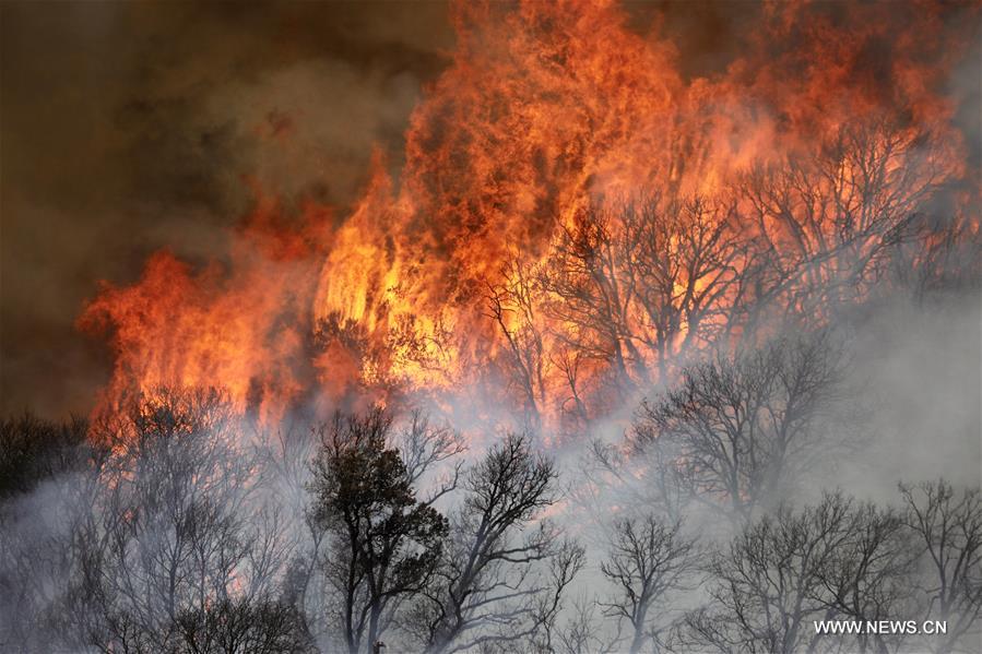 الصورة: حرائق غابات في ولاية كاليفورنيا، الولايات المتحدة 