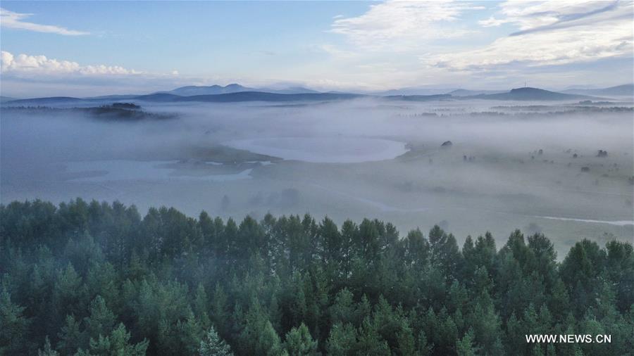 الصورة: مناظر خلابة لحديقة غابات وطنية في شمالي الصين