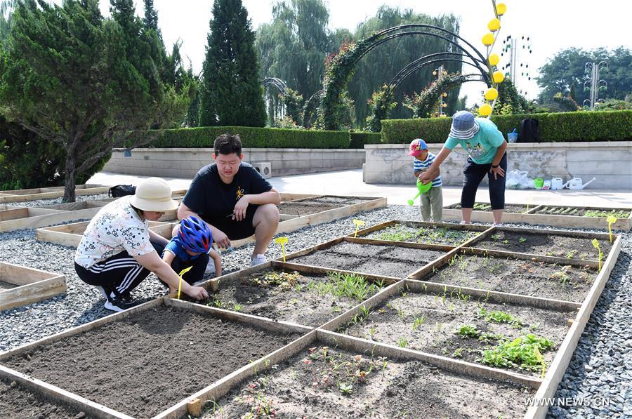 الصورة:  زوار يجربون زراعة الخضروات في حديقة ببكين