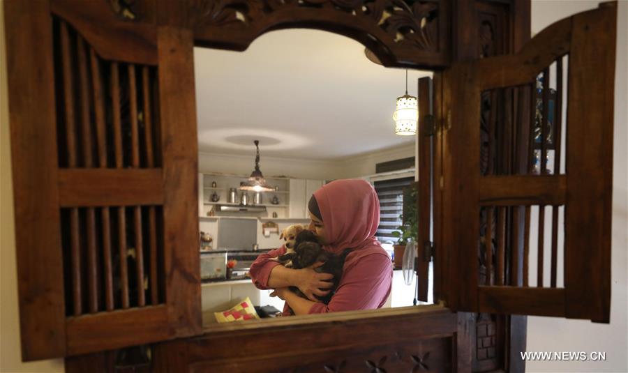 الصورة: امرأة فلسطينية تحول منزلها إلى مأوى للحيوانات الضالة 