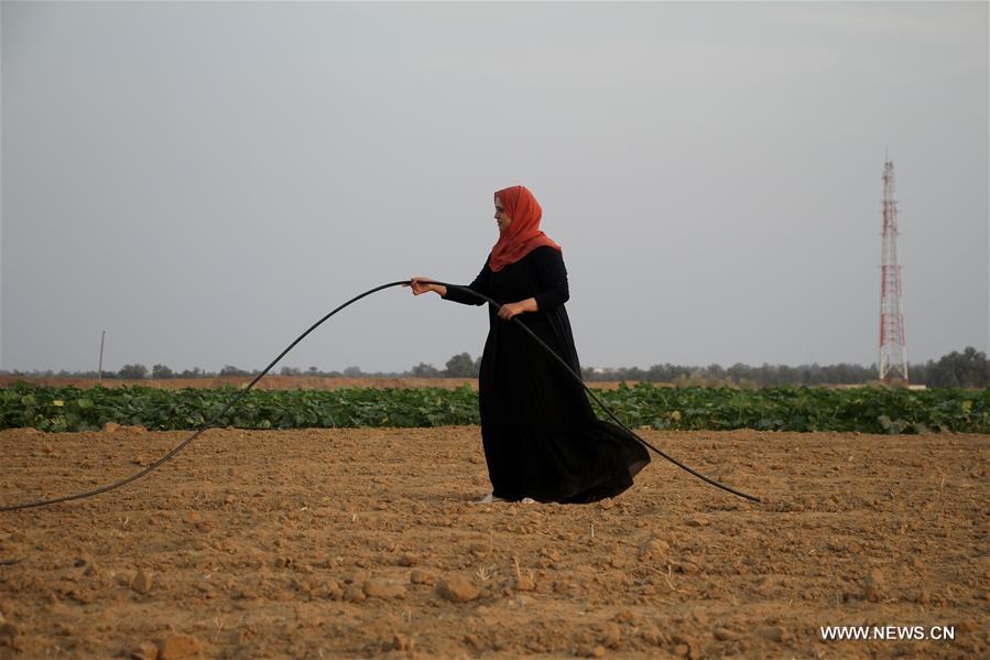 MIDEAST-GAZA-KHAN YOUNIS-BORDER LAND-FARMING