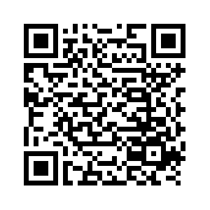شي: الصين تحرز تقدما ملموسا في مسيرتها الجديدة نحو التحديث الصيني النمط