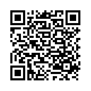 زائرون فنلنديون يشيدون بتكامل التجارة الإلكترونية المدعومة بالذكاء الاصطناعي في الصين