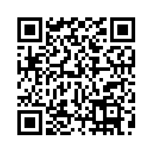 (وسائط متعددة) شركة ((أجيبوت)) الصينية تشحن أكثر من 5100 روبوت شبيه بالبشر في 2025