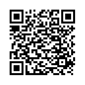 (وسائط متعددة) الصين تأسف لإساءة استخدام قرارات مجلس الأمن الدولي بشأن هجمات الحوثيين في البحر الأحمر