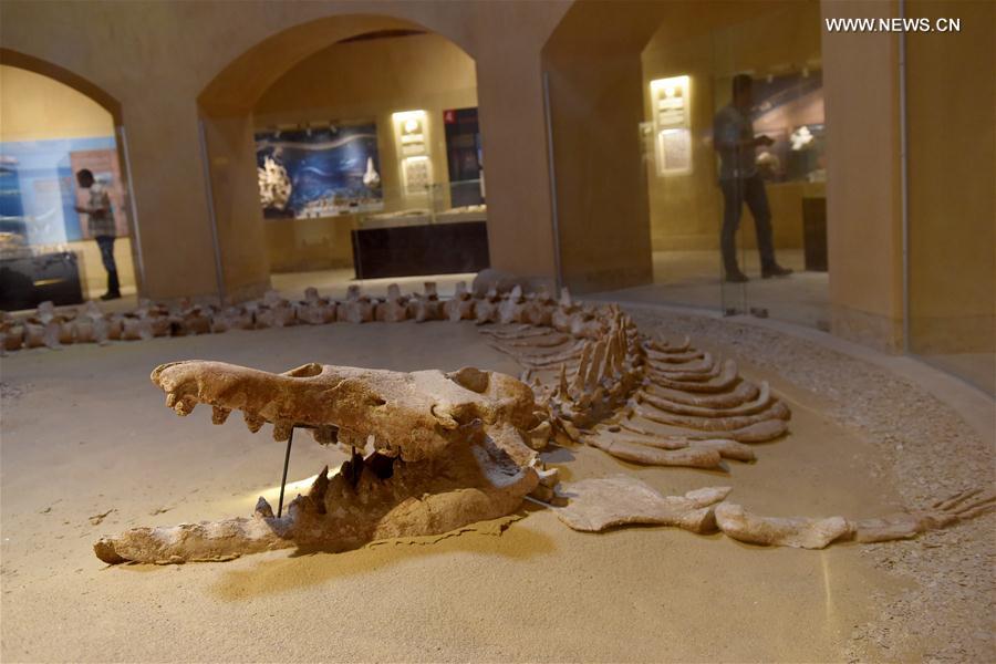 الصورة: "وادي الحيتان" من أشهر المحميات الطبيعية جنوب القاهرة