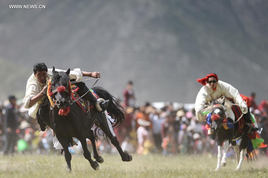 （体育）（1）赛马——玉树康巴藏族马背展雄风