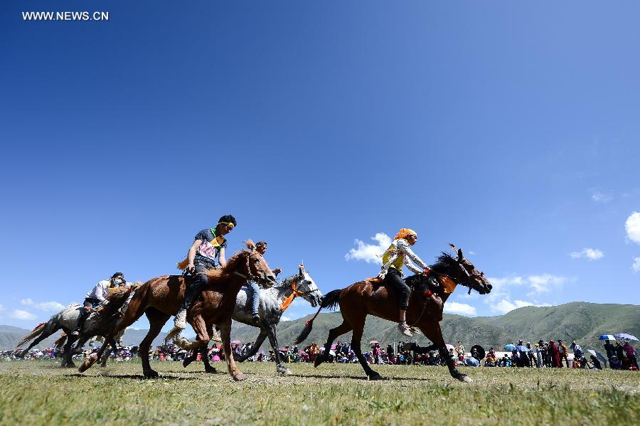 （体育）（6）赛马——玉树康巴藏族马背展雄风