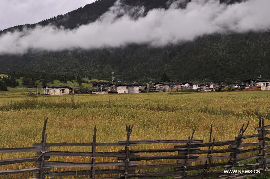 （辉煌50年·大美新西藏·图文互动）（8）西藏：绿水青山无忧 雪域圣洁依旧