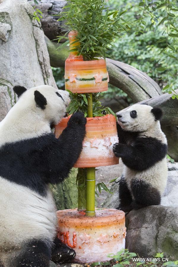 CHINA-U.S.-GIANT PANDAS (CN)