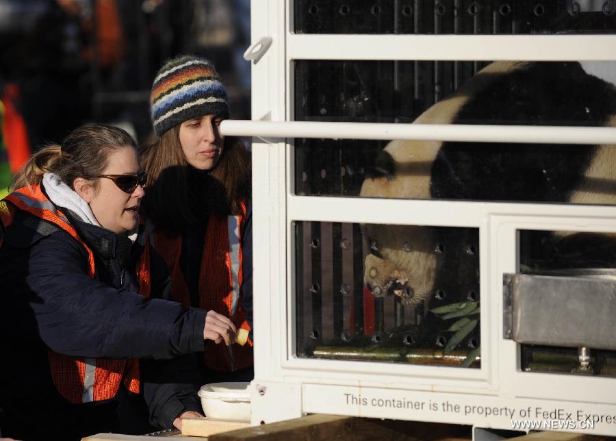 CHINA-U.S.-GIANT PANDAS (CN)