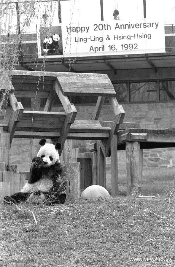 CHINA-U.S.-GIANT PANDAS (CN)