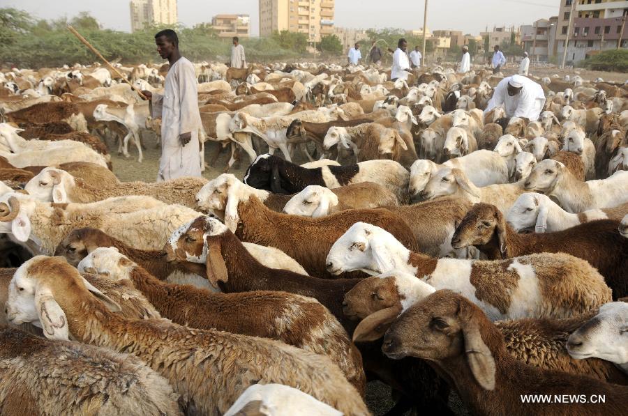 （国际）（1）苏丹宰牲节：经济制裁推高过节成本