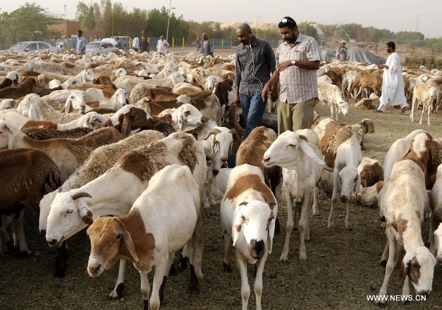 （国际）（4）苏丹宰牲节：经济制裁推高过节成本
