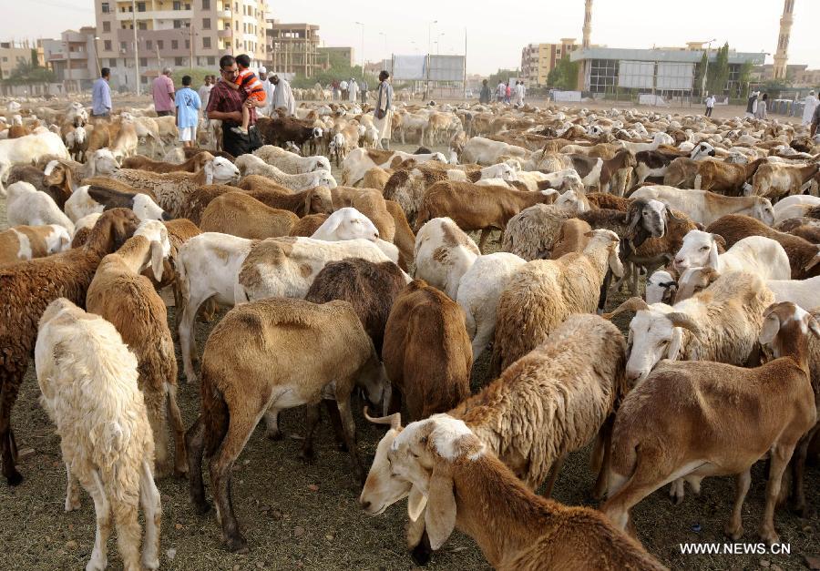 （国际）（3）苏丹宰牲节：经济制裁推高过节成本