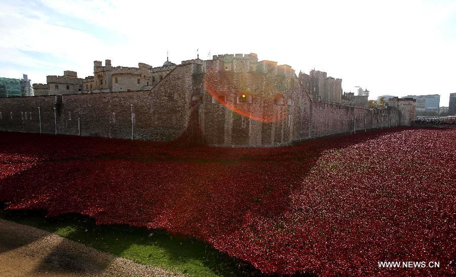 （国际&middot;出访配合）（5）英国首都伦敦