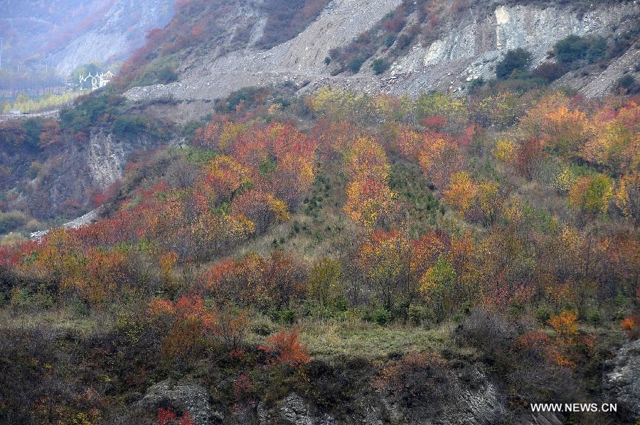 CHINA-NINGXIA-LIUPAN MOUNTAIN (CN)