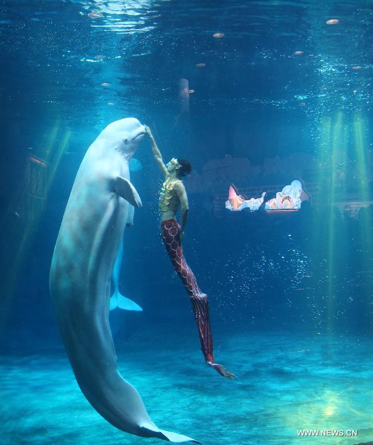 （社会）（1）北京海洋馆启动“爱鲨日”和美人鱼形象大使招募活动