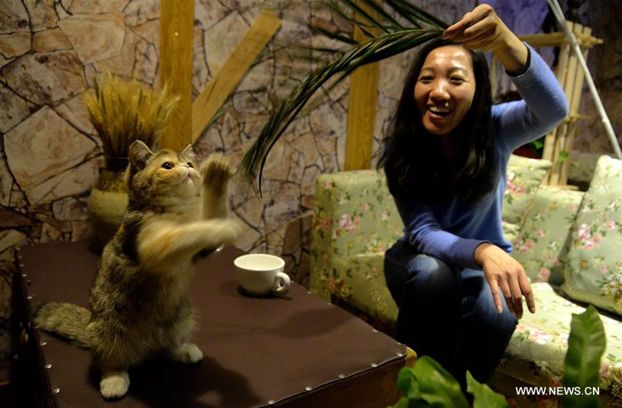 #CHINA-HEBEI-CAT CAFE (CN)