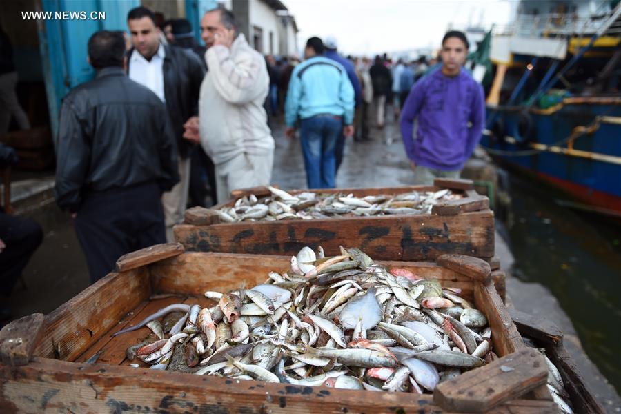 （国际）（3）尼罗河入海口的清晨鱼市