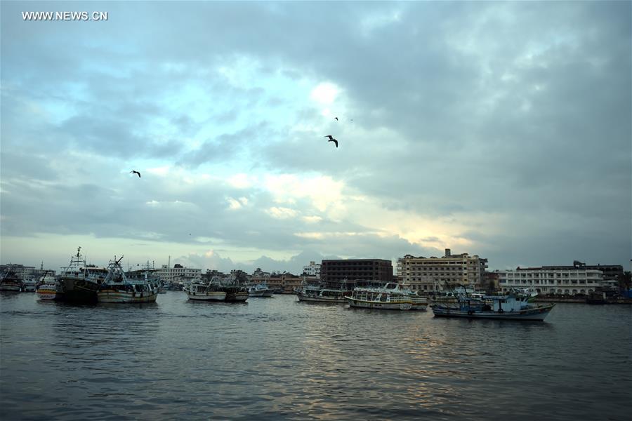 （国际）（5）尼罗河入海口的清晨鱼市