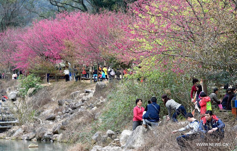 CHINA-FLOWER BLOSSOM-TEMPERATURE RISE (CN) 