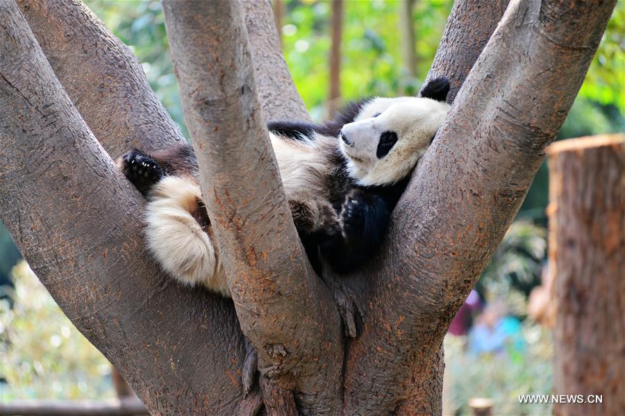 WEEKLY CHOICES OF XINHUA PHOTO